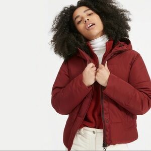 Everlane Renew Short Puffer